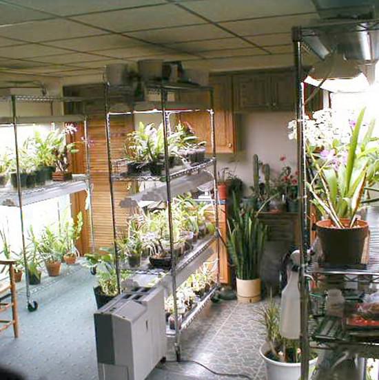 greenhouse flower storage rack