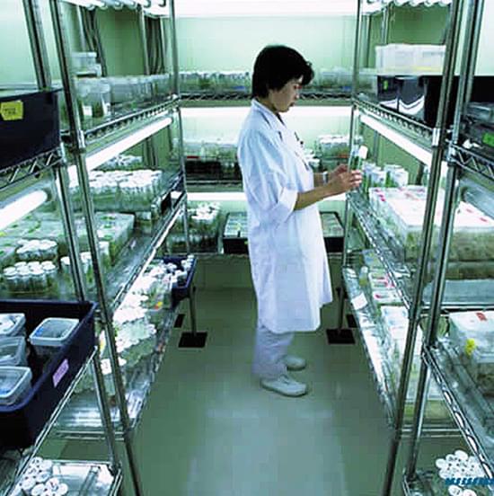 labouratory wire shelves