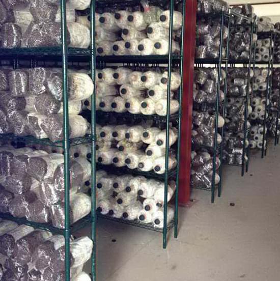 Mushroom Storage Wire Shelf