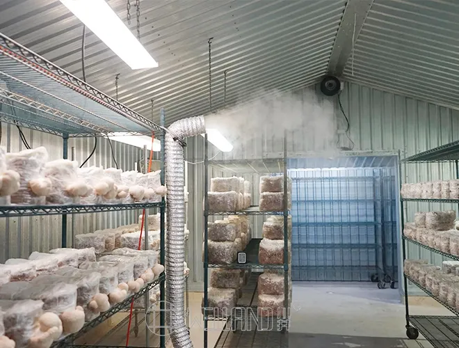 Customization 6 tiers green mushroom growing indoors shelving racks (5)