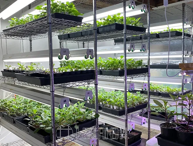 Seed Growing Racks Plant Flower Wire Shelving for Garden Greenhouse (3)