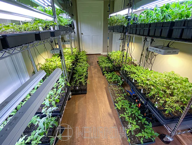 Seed Growing Racks Plant Flower Wire Shelving for Garden Greenhouse (2)