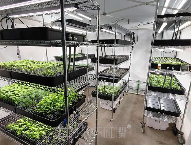 Seed Growing Racks Plant Flower Wire Shelving for Garden Greenhouse