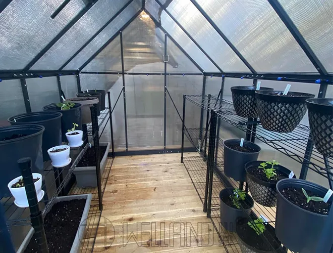 Greenhouse Shelving System
