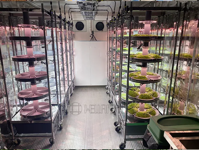 Stainless Steel Indoor Grow Rack