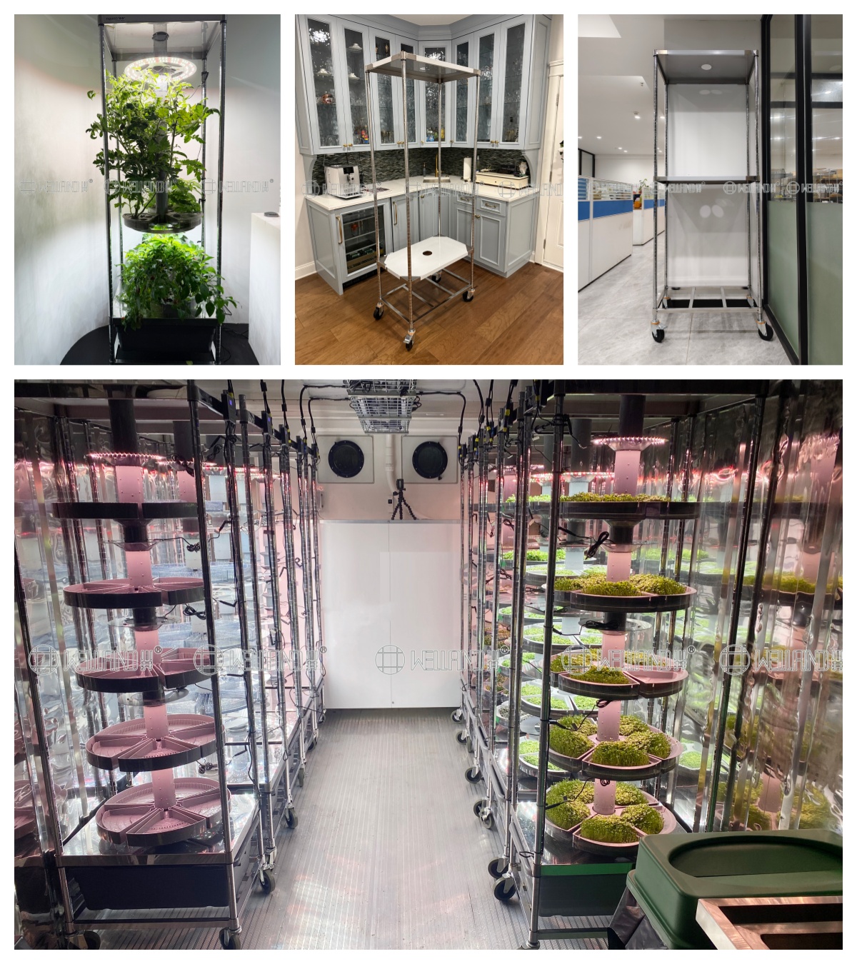 Maximize Your Greenhouse Potential with American-Designed Racking Solutions (2).jpg